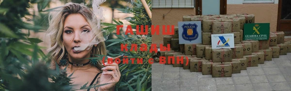 индика Армянск