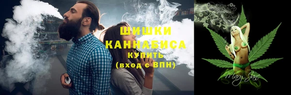 индика Армянск