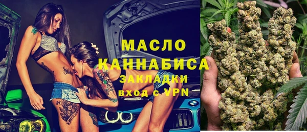 индика Армянск