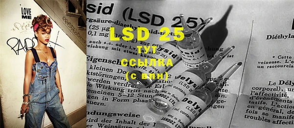 spice Медвежьегорск