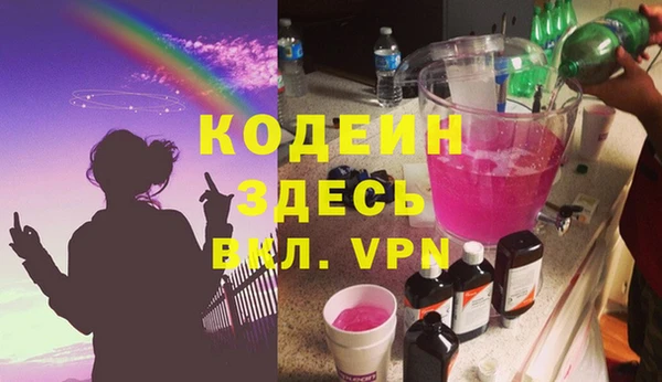 индика Армянск