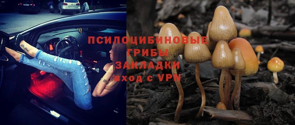 индика Армянск
