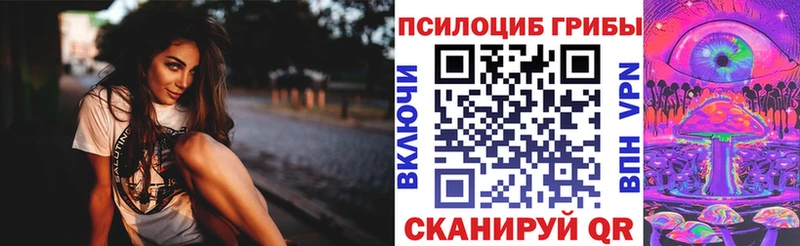 Псилоцибиновые грибы Psilocybe  купить наркотик  Раменское 